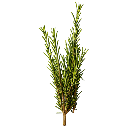 Размарин